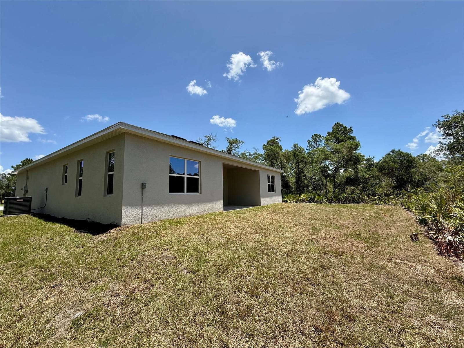 back of the house - 30280 W BLUEBELL AVE, EUSTIS