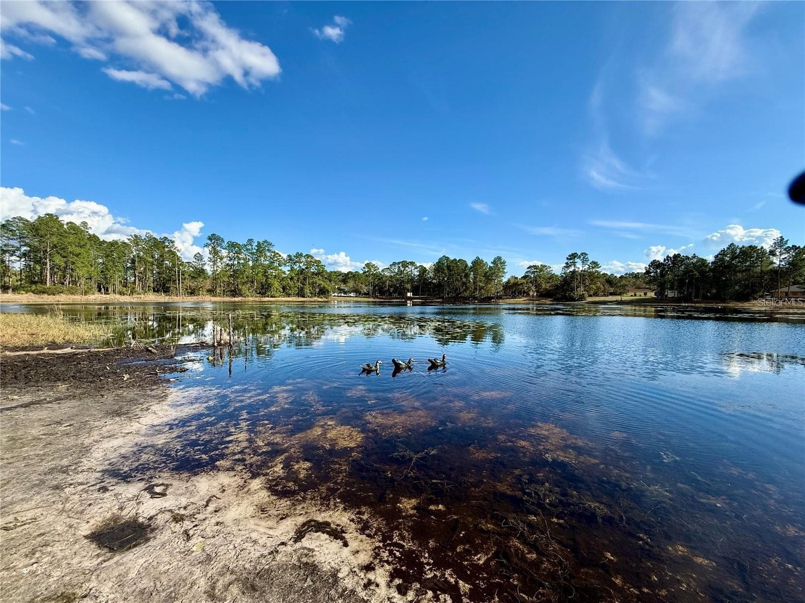 Lake Marion within the community - 30280 W BLUEBELL AVE, EUSTIS