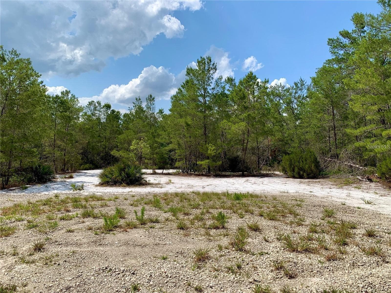 Parking area - 30280 W BLUEBELL AVE, EUSTIS