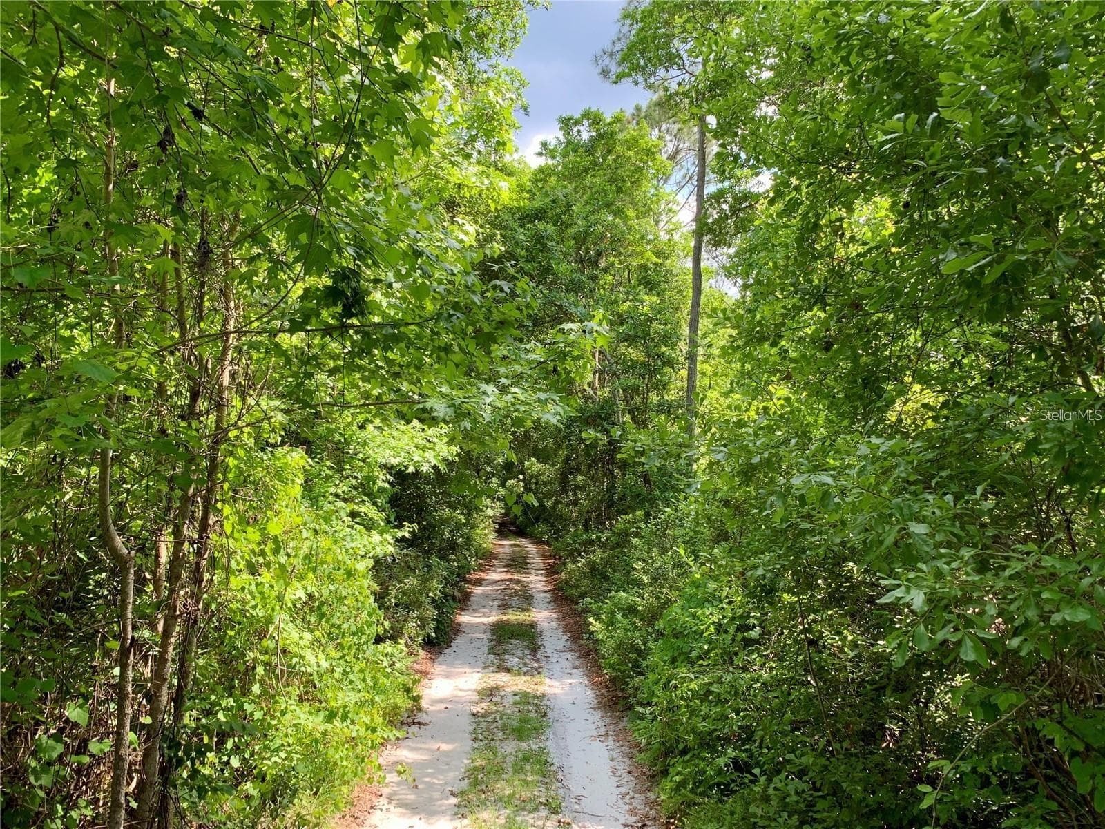 path to the Lake - 30280 W BLUEBELL AVE, EUSTIS