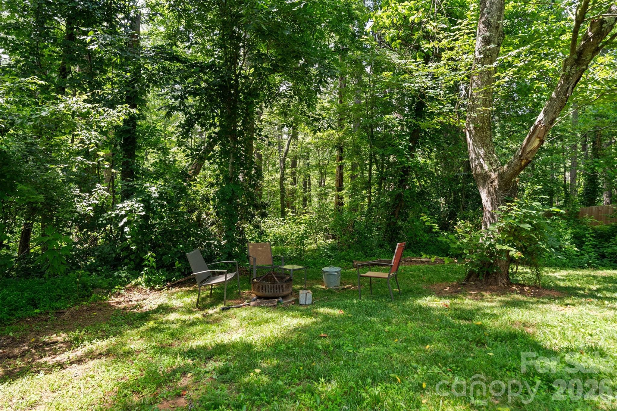Side/back yard - Asheville