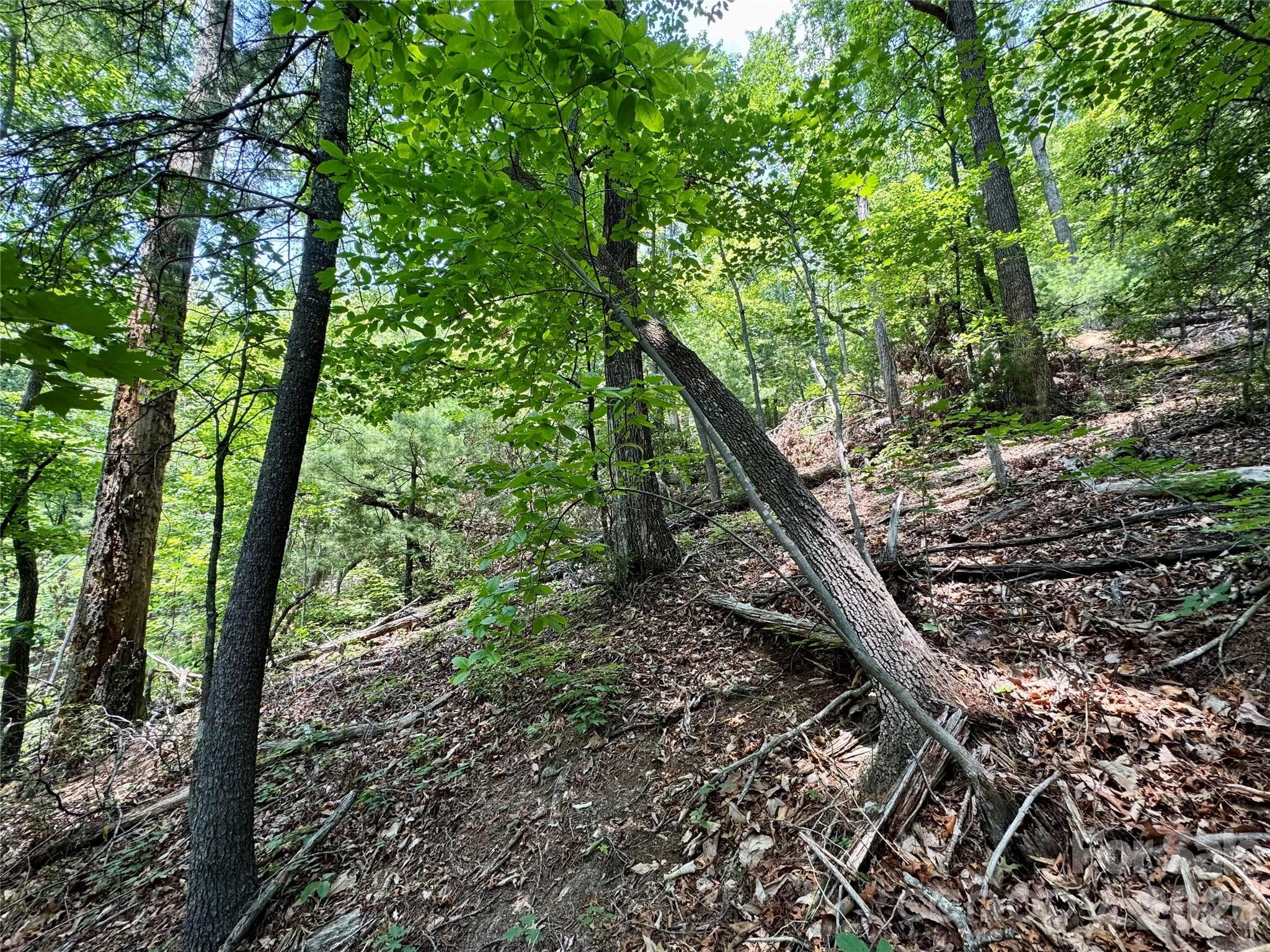 Lot at Lot 23 Bear Track Lane, Lenoir, photo 5 of 23