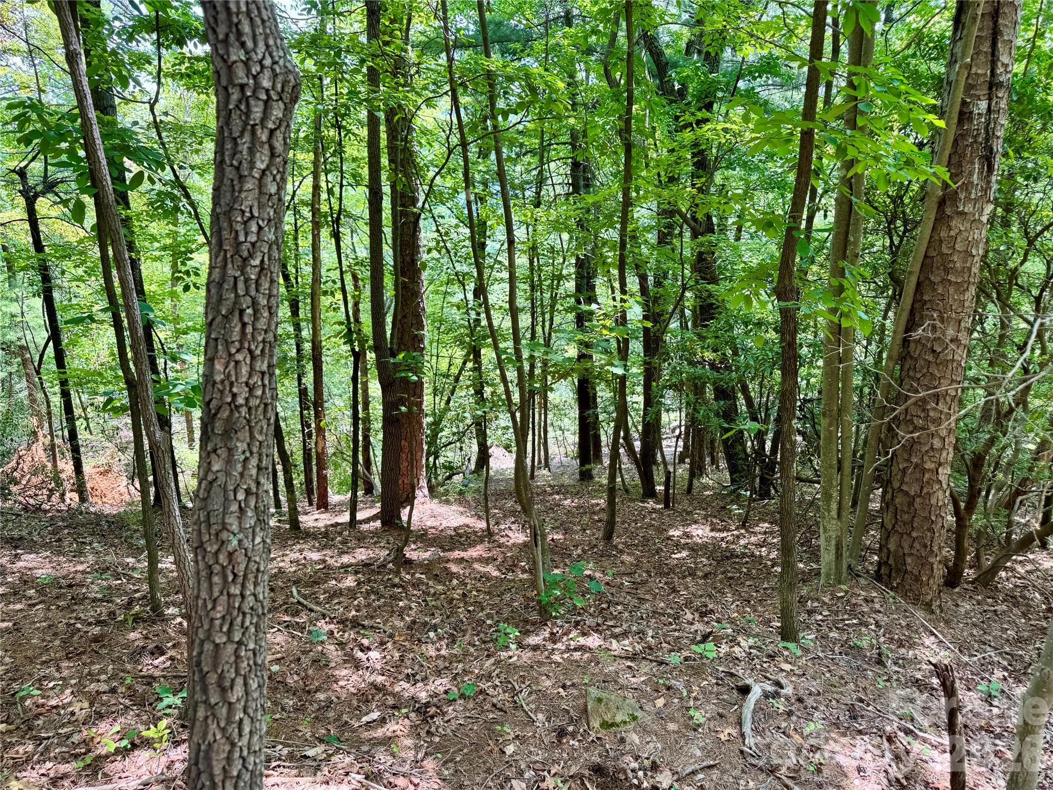 Lot at Lot 23 Bear Track Lane, Lenoir, photo 6 of 23