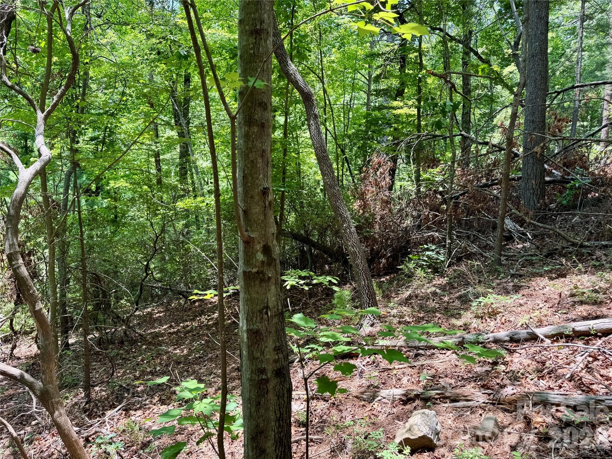 Lot at Lot 23 Bear Track Lane, Lenoir, photo 8 of 23