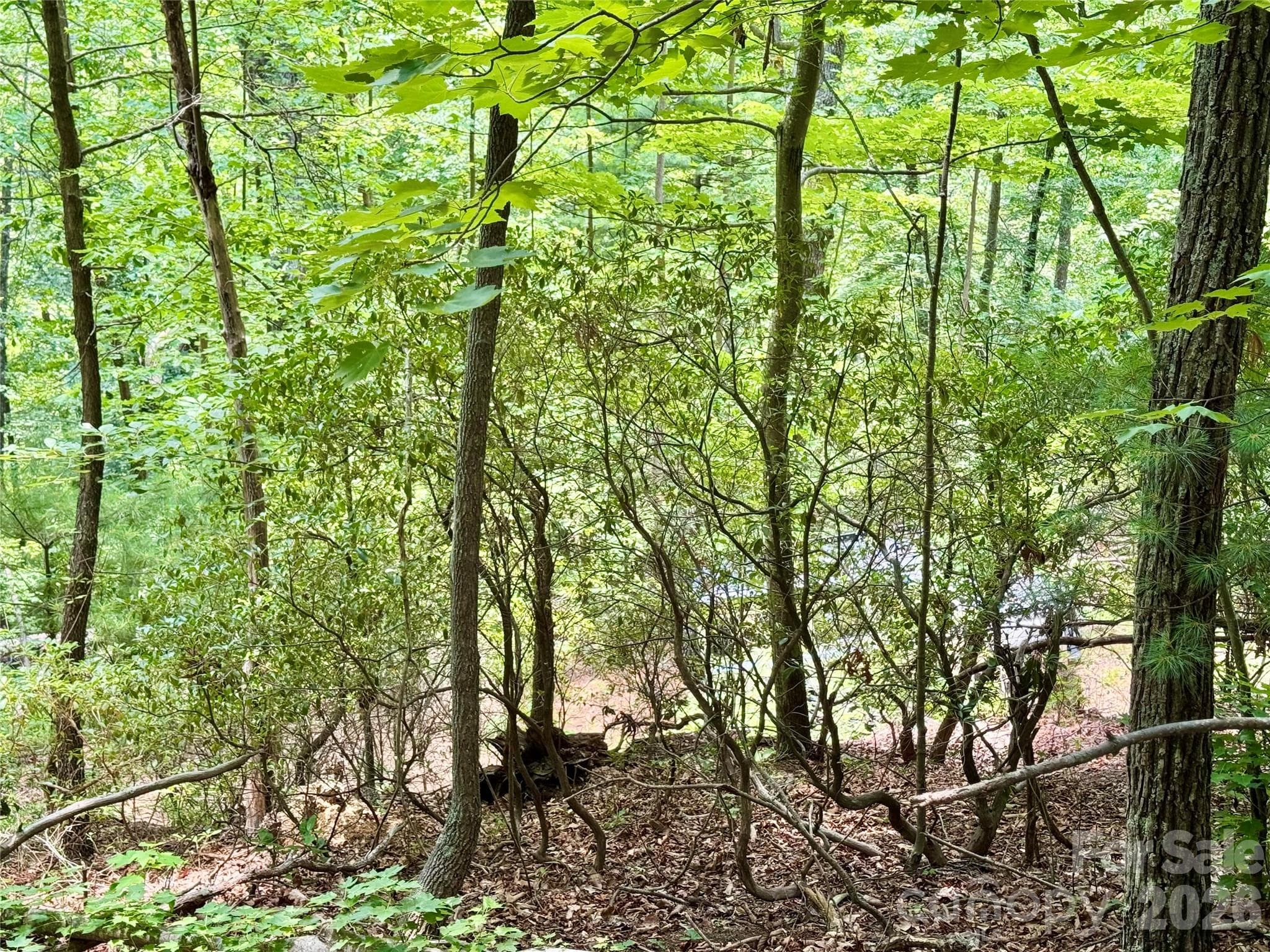 Lot at Lot 23 Bear Track Lane, Lenoir, photo 11 of 23