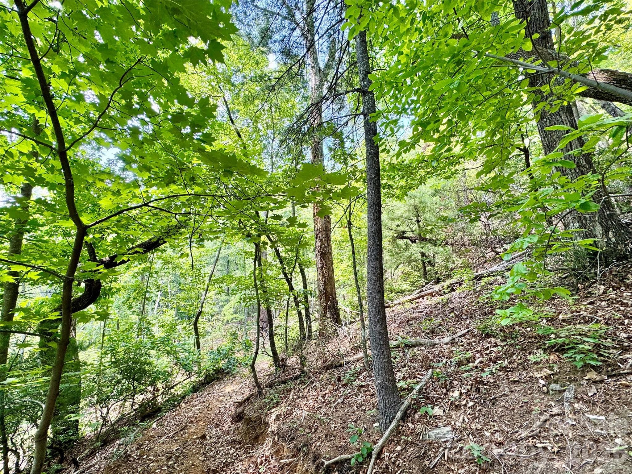 Lot at Lot 23 Bear Track Lane, Lenoir, photo 12 of 23