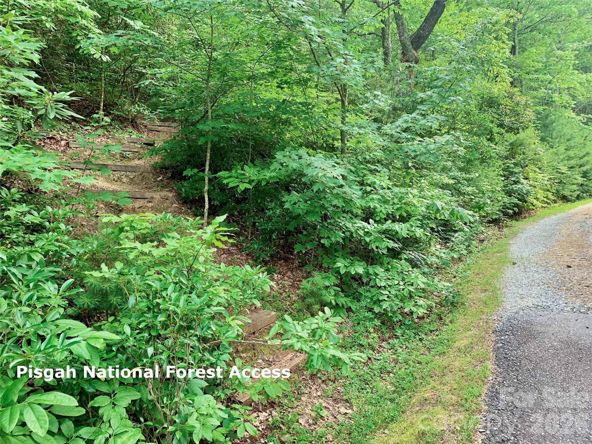 Pisgah National Forest Trail Head - Lot 23 Bear Track Lane, Lenoir
