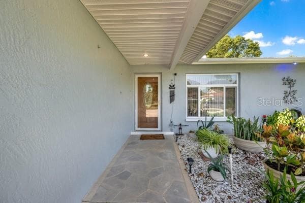 WALK WAY TO FRONT DOOR - 133 STAFFORD CIR, PALM HARBOR