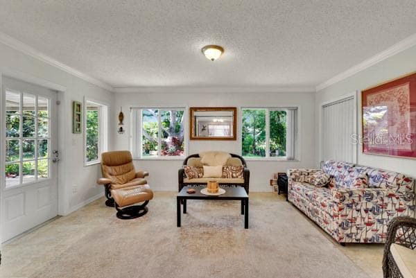 FAMILYROOM WITH LOADS OF WINDOWS - 133 STAFFORD CIR, PALM HARBOR