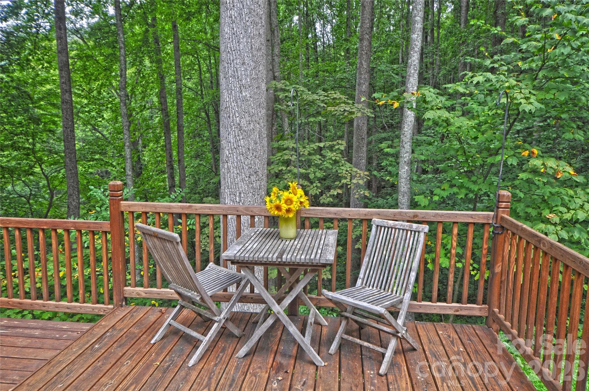 Single Family Residence at 1390 Baltimore Branch Road, Hot Springs, photo 42 of 43