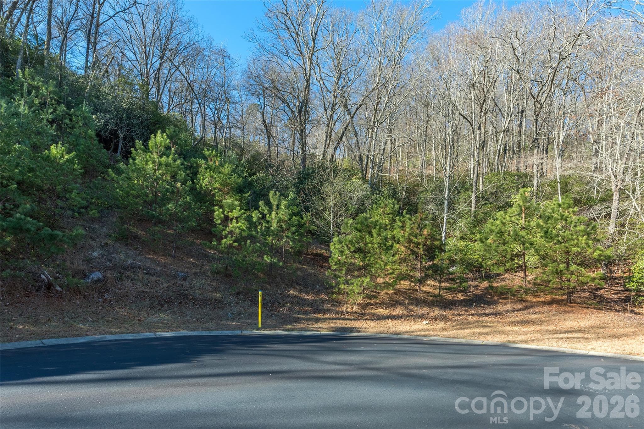 Lot at 9999 Mayfly Lane, Horse Shoe, photo 2 of 26