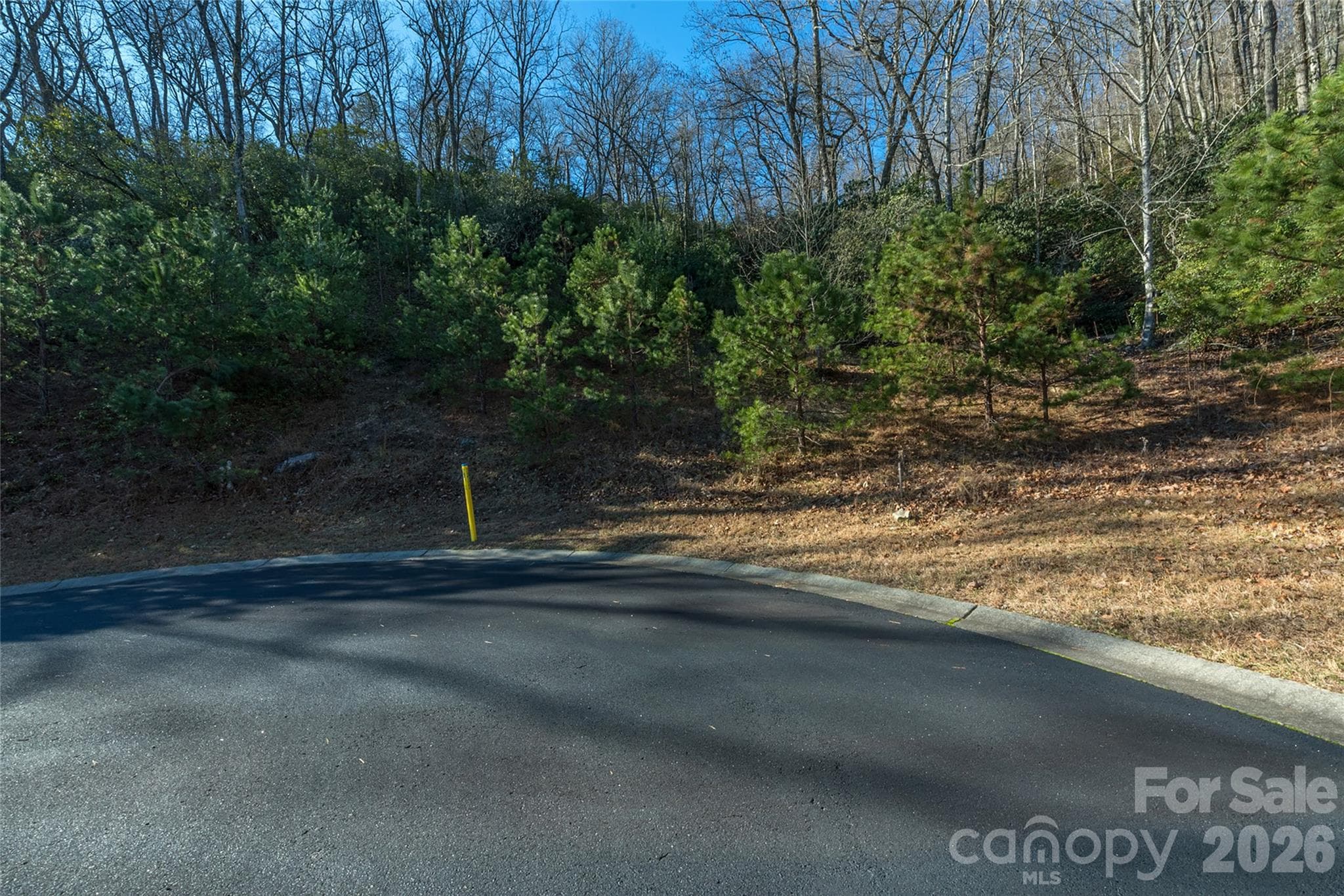 Lot at 9999 Mayfly Lane, Horse Shoe, photo 10 of 26