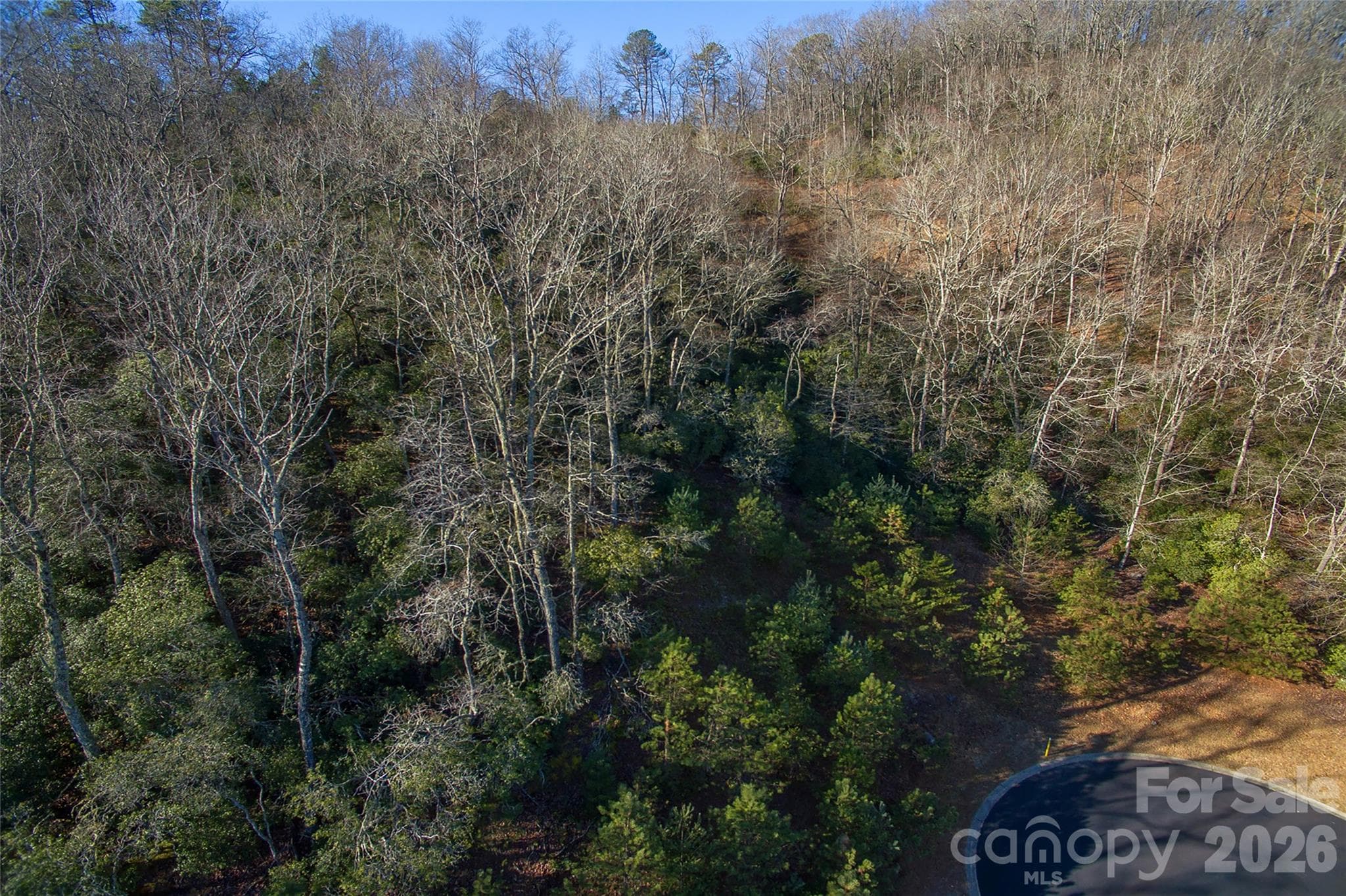 Lot at 9999 Mayfly Lane, Horse Shoe, photo 11 of 26