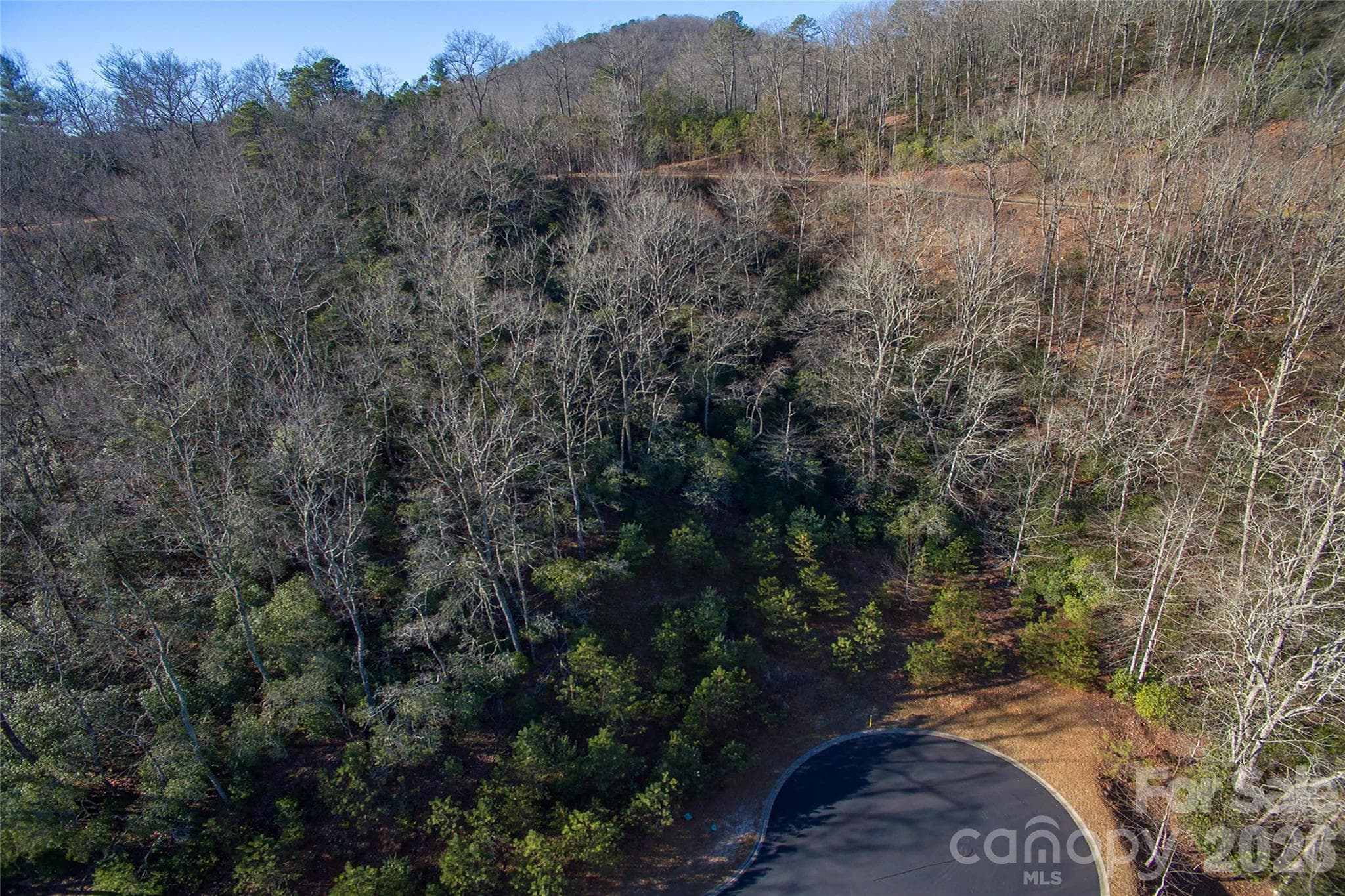 Lot at 9999 Mayfly Lane, Horse Shoe, photo 12 of 26