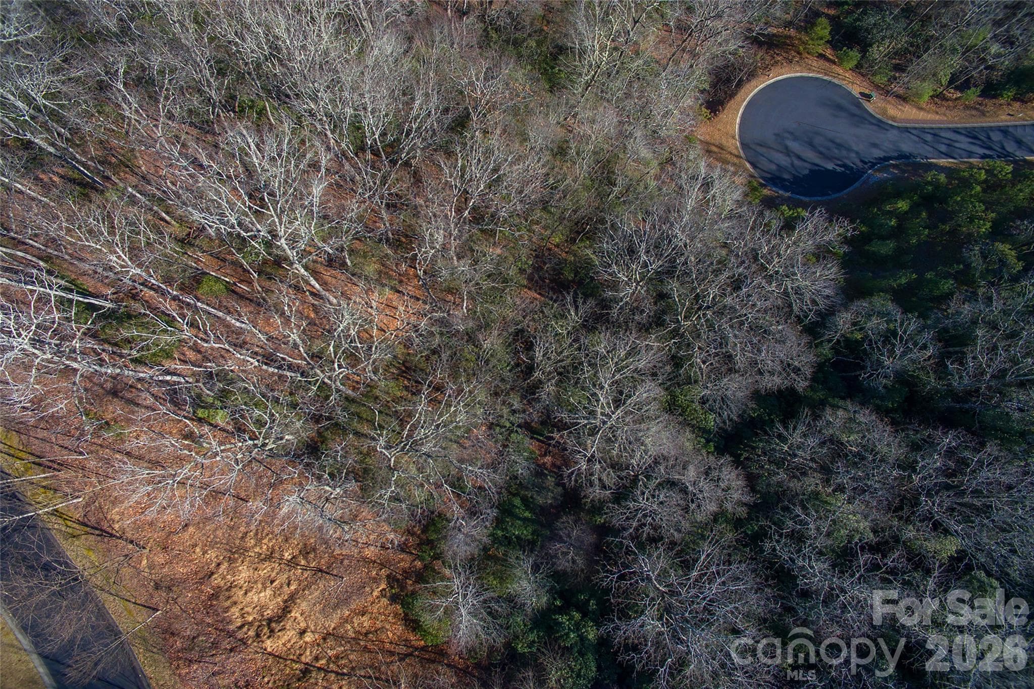 Lot at 9999 Mayfly Lane, Horse Shoe, photo 17 of 26
