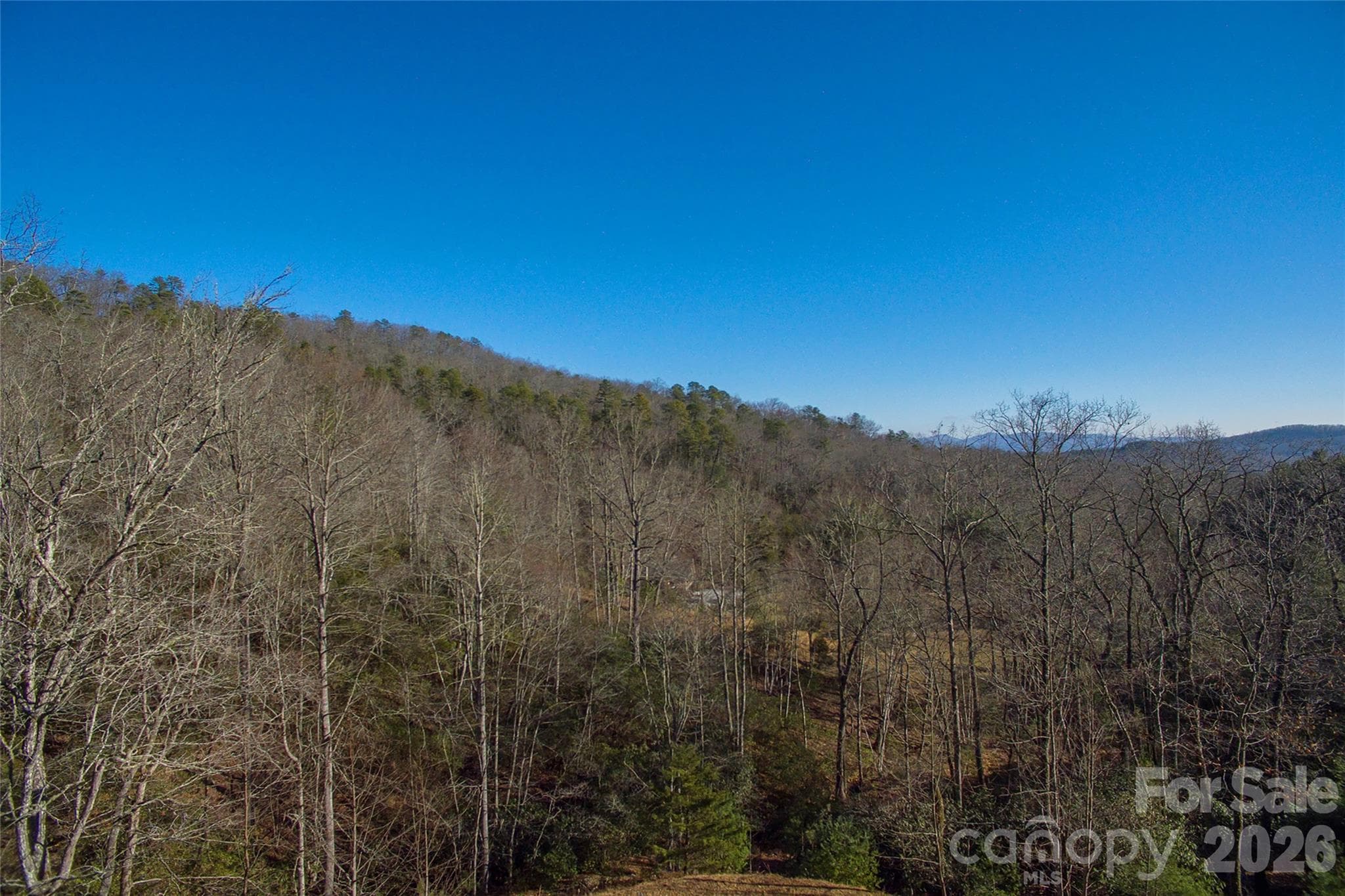 Lot at 9999 Mayfly Lane, Horse Shoe, photo 21 of 26