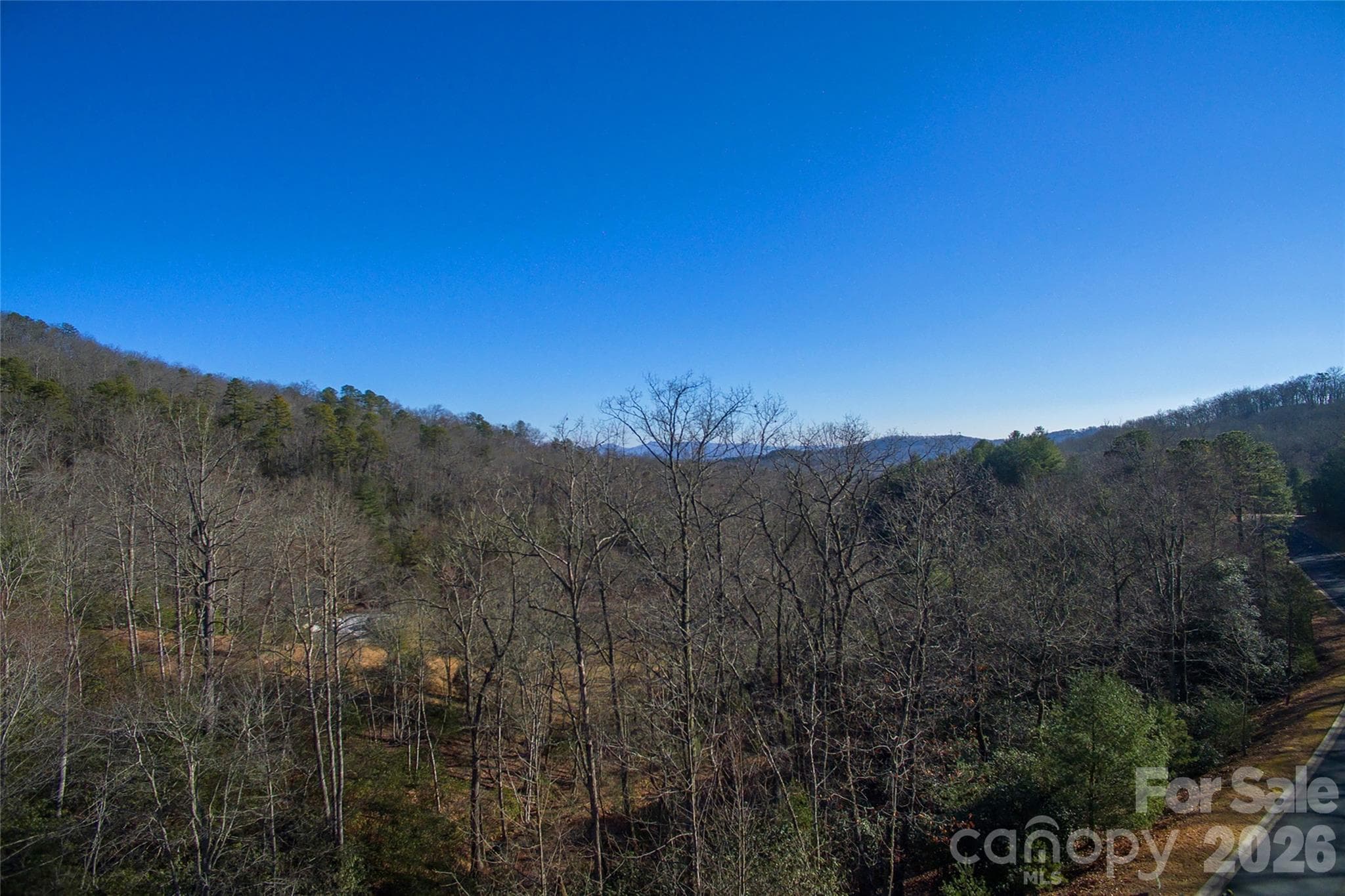 Lot at 9999 Mayfly Lane, Horse Shoe, photo 22 of 26
