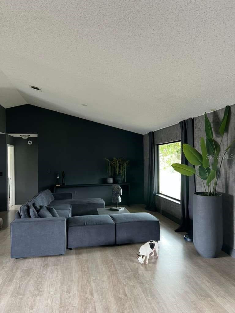 Living Room view - 906 SAN PAULO WAY, KISSIMMEE