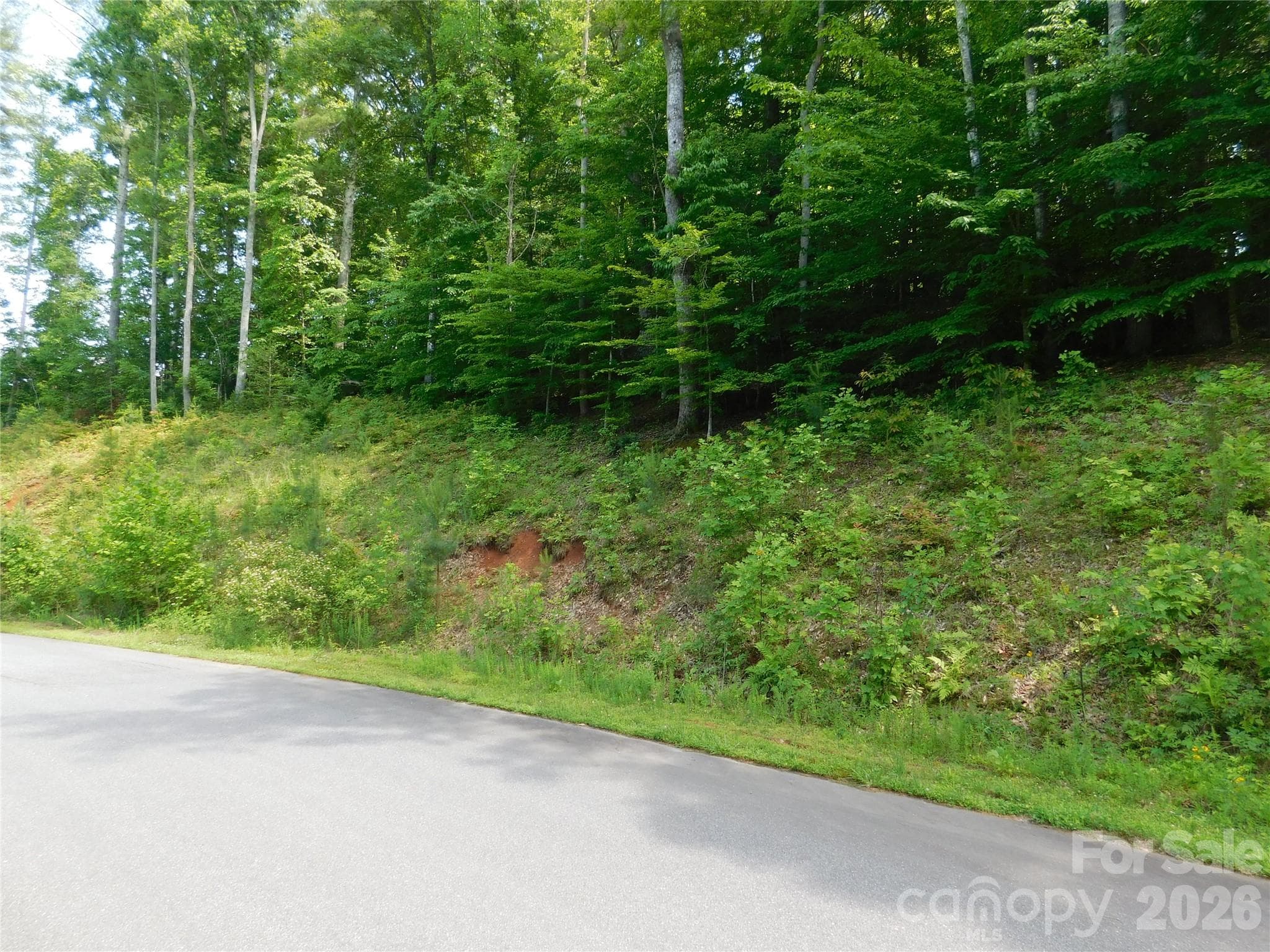 Lot at 305 E Settings Boulevard NW, Valdese, photo 4 of 14
