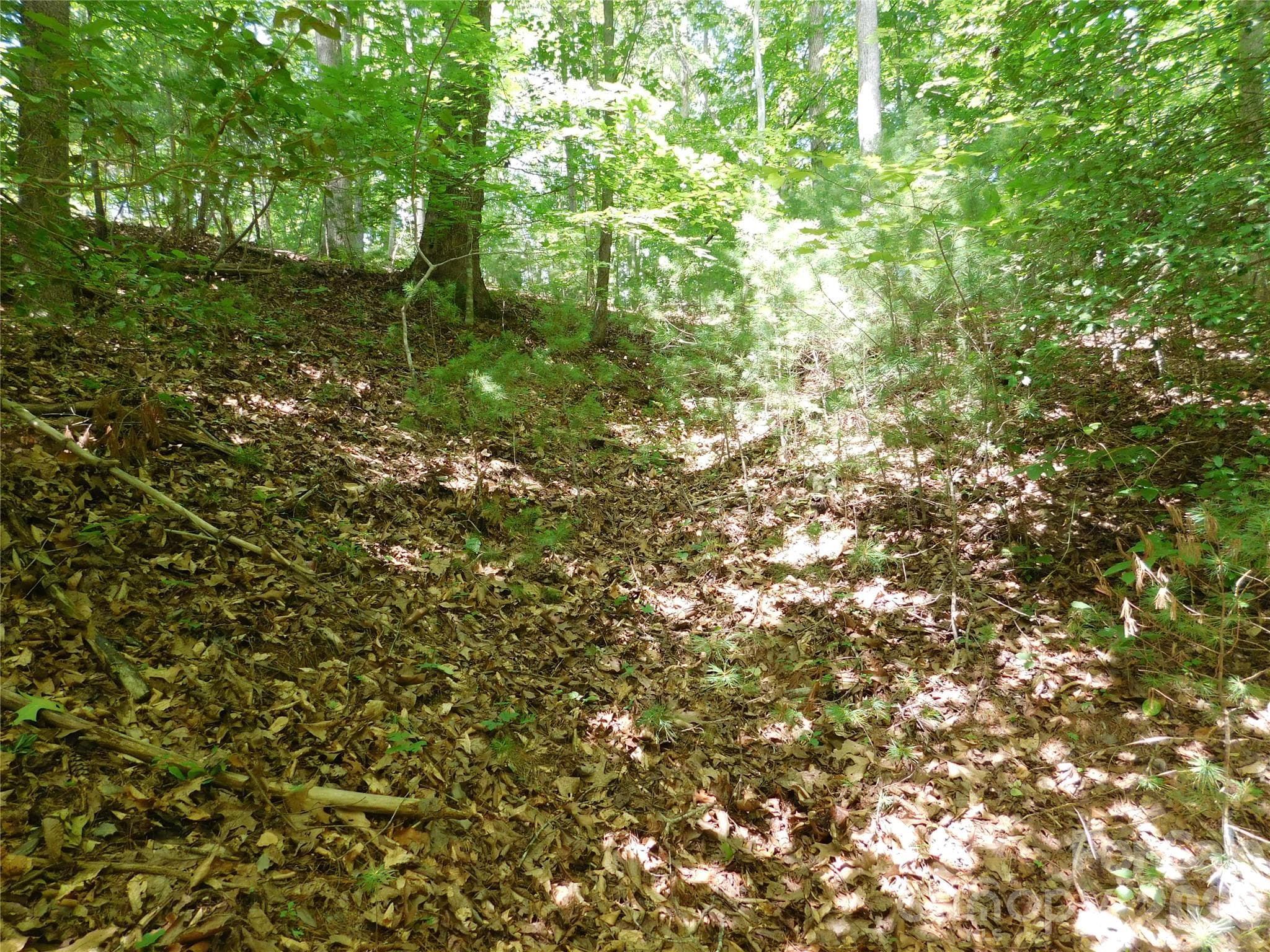 Lot at 305 E Settings Boulevard NW, Valdese, photo 5 of 14