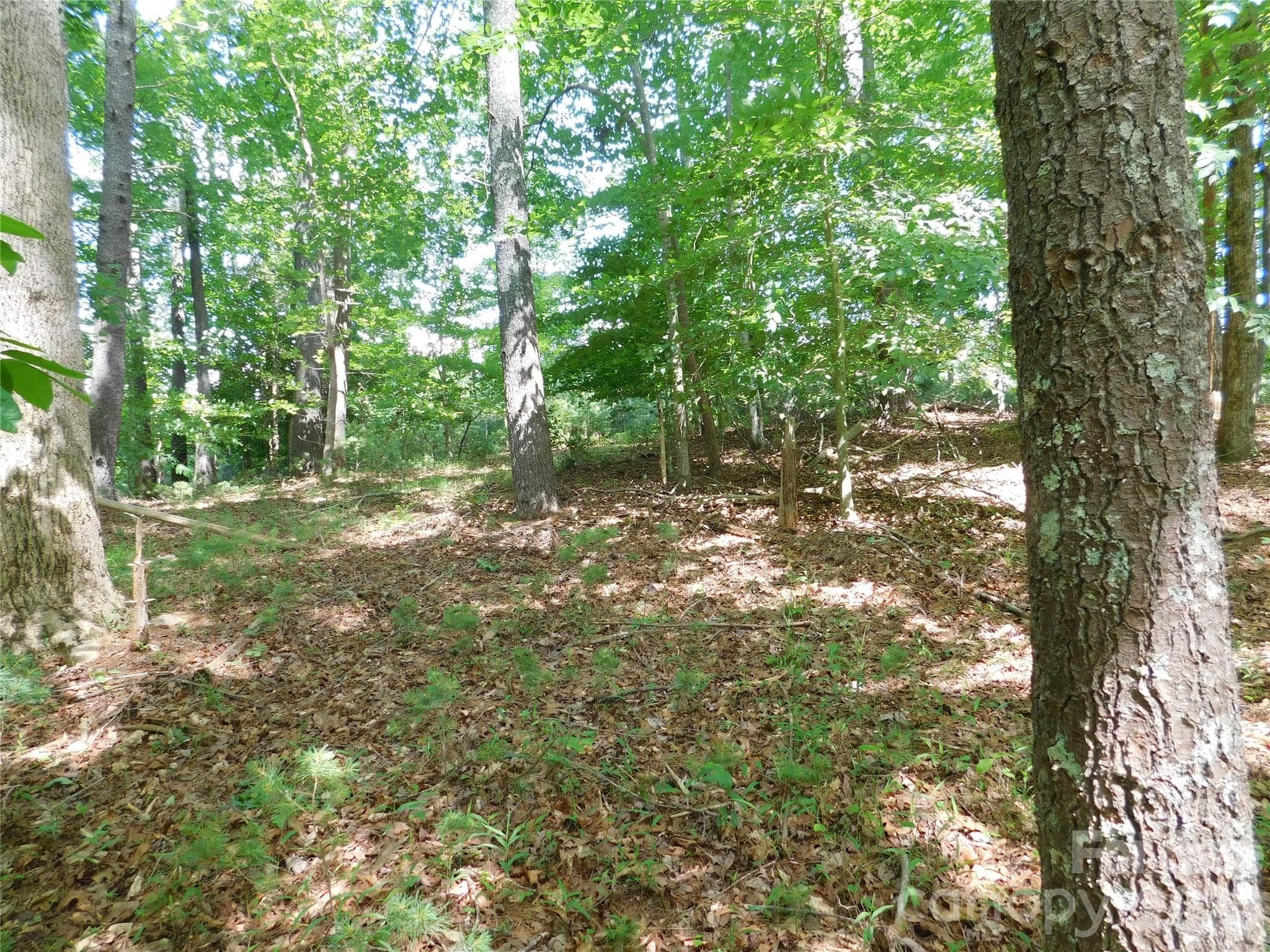 Lot at 305 E Settings Boulevard NW, Valdese, photo 6 of 14