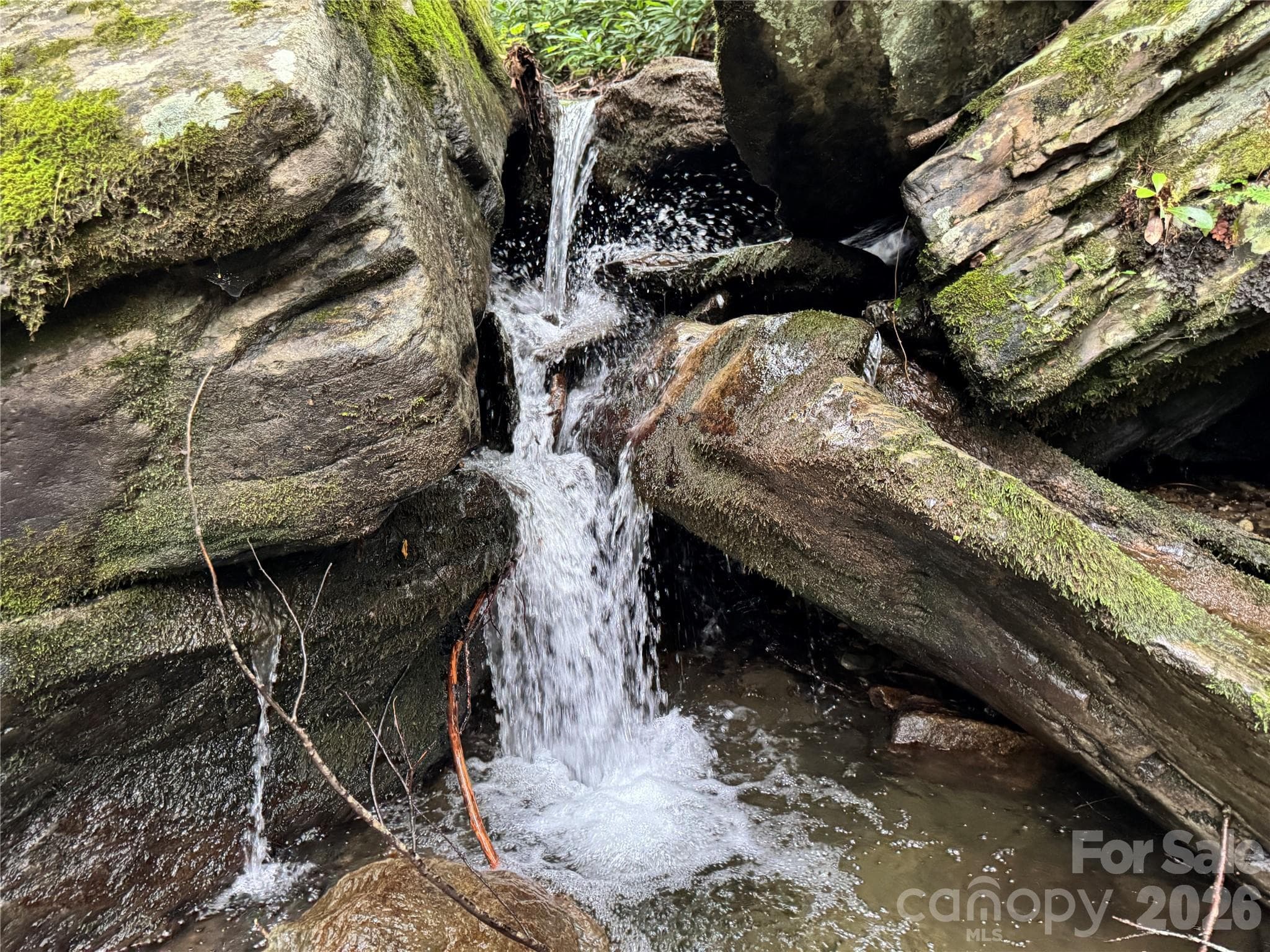 waterfalls/water ON the subject property and within sight of house! - 355 Oakley Green None, Boone