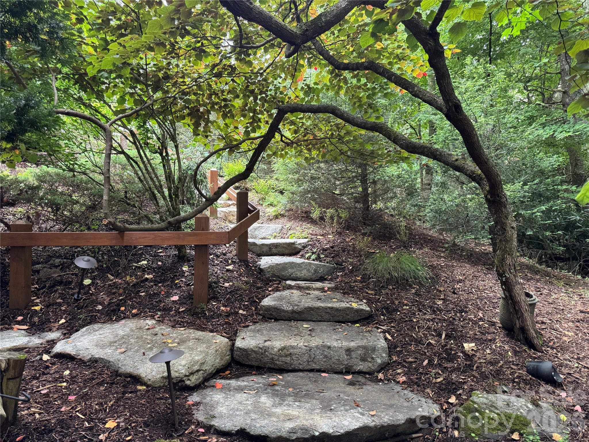 Stone walkway leading to stream & waterfall in back yard! - 355 Oakley Green None, Boone