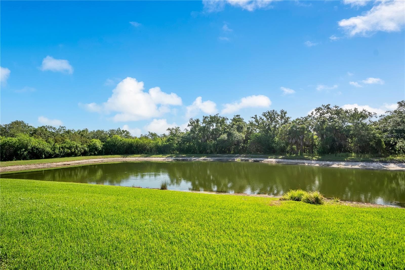 Pond behind the unit - 415 WINDING BROOK LN #102, BRADENTON
