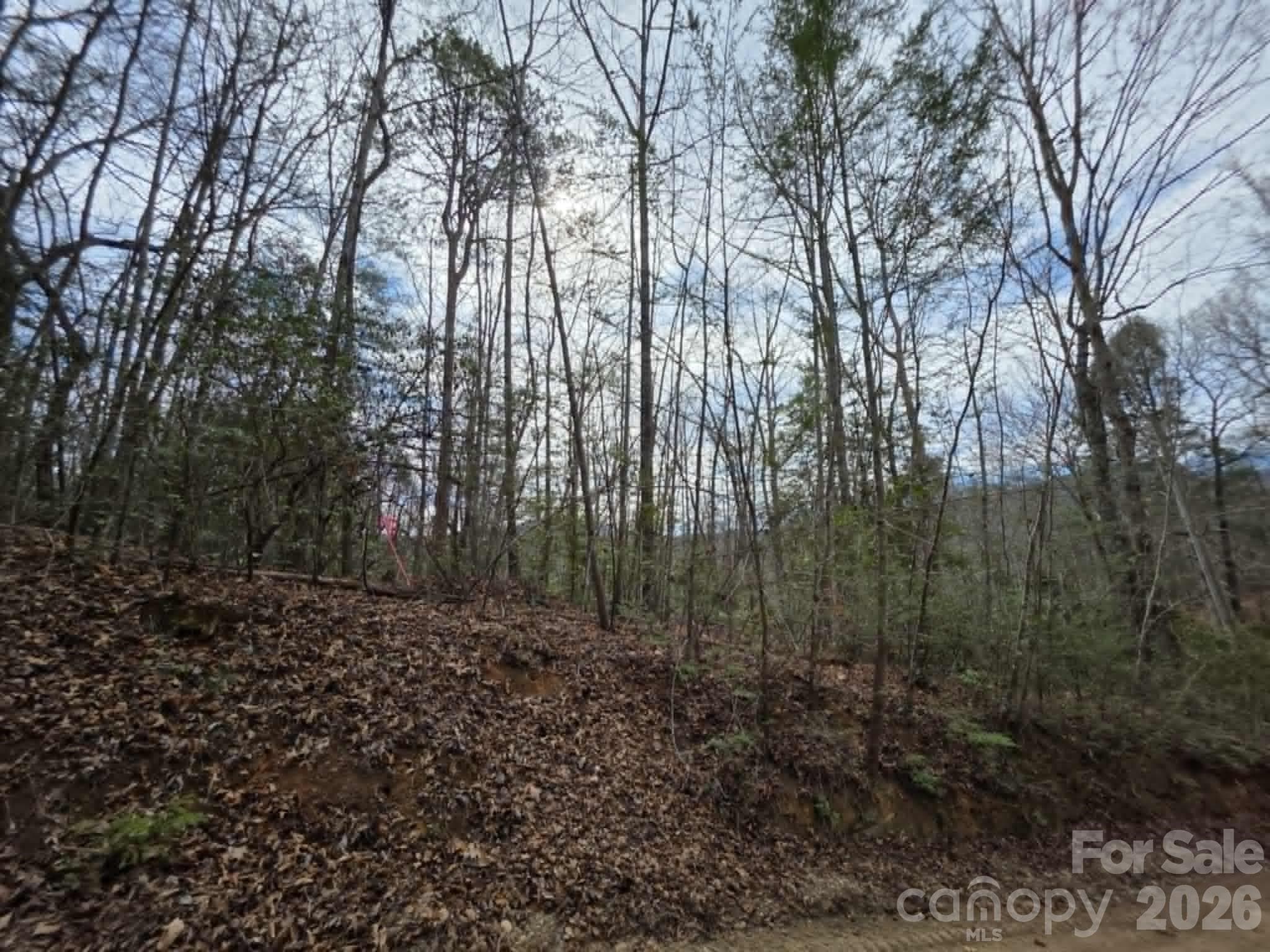 Lot at Lot 1 Kerlee Lane, Old Fort, photo 3 of 7
