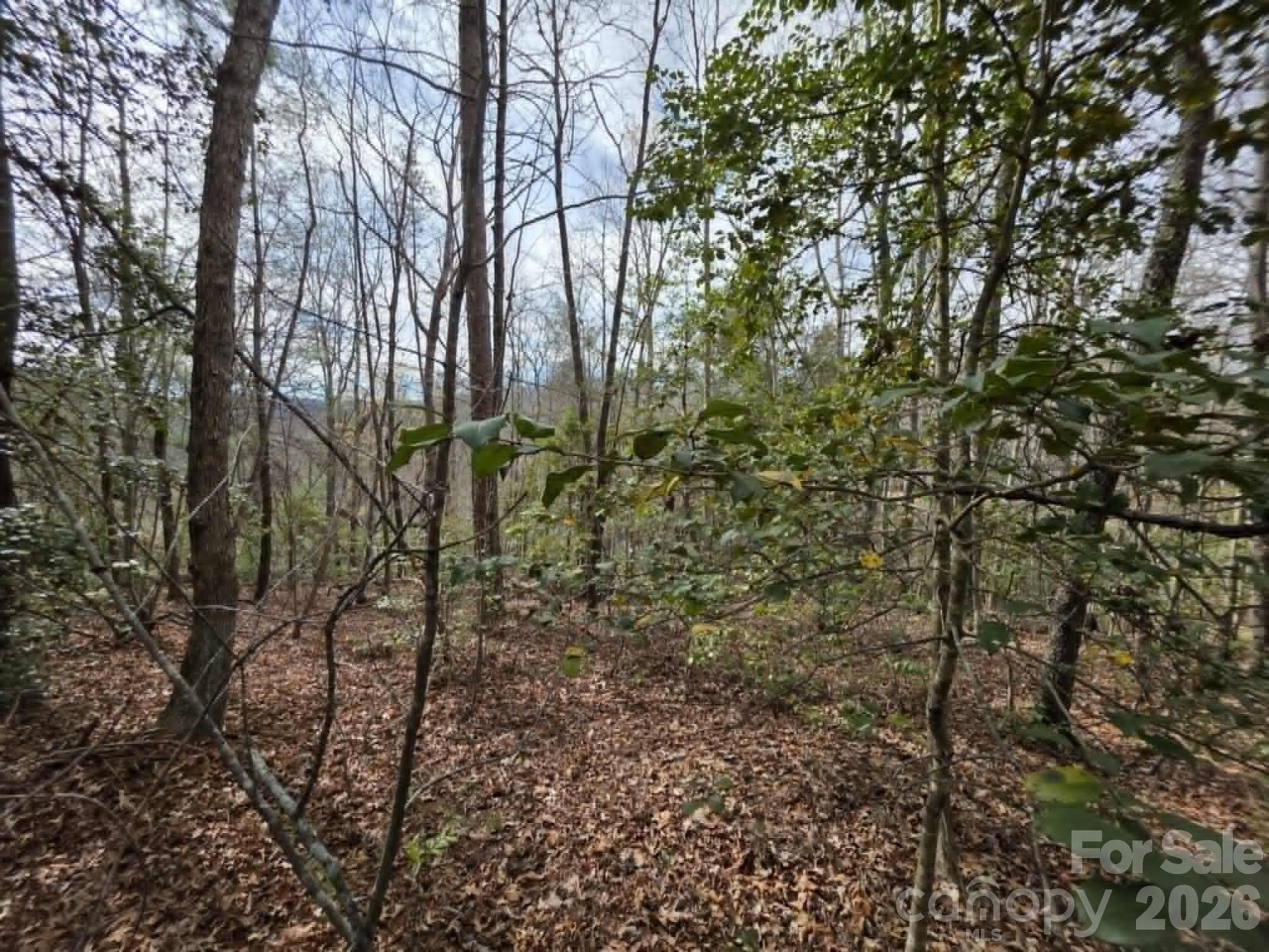 Lot at Lot 1 Kerlee Lane, Old Fort, photo 4 of 7