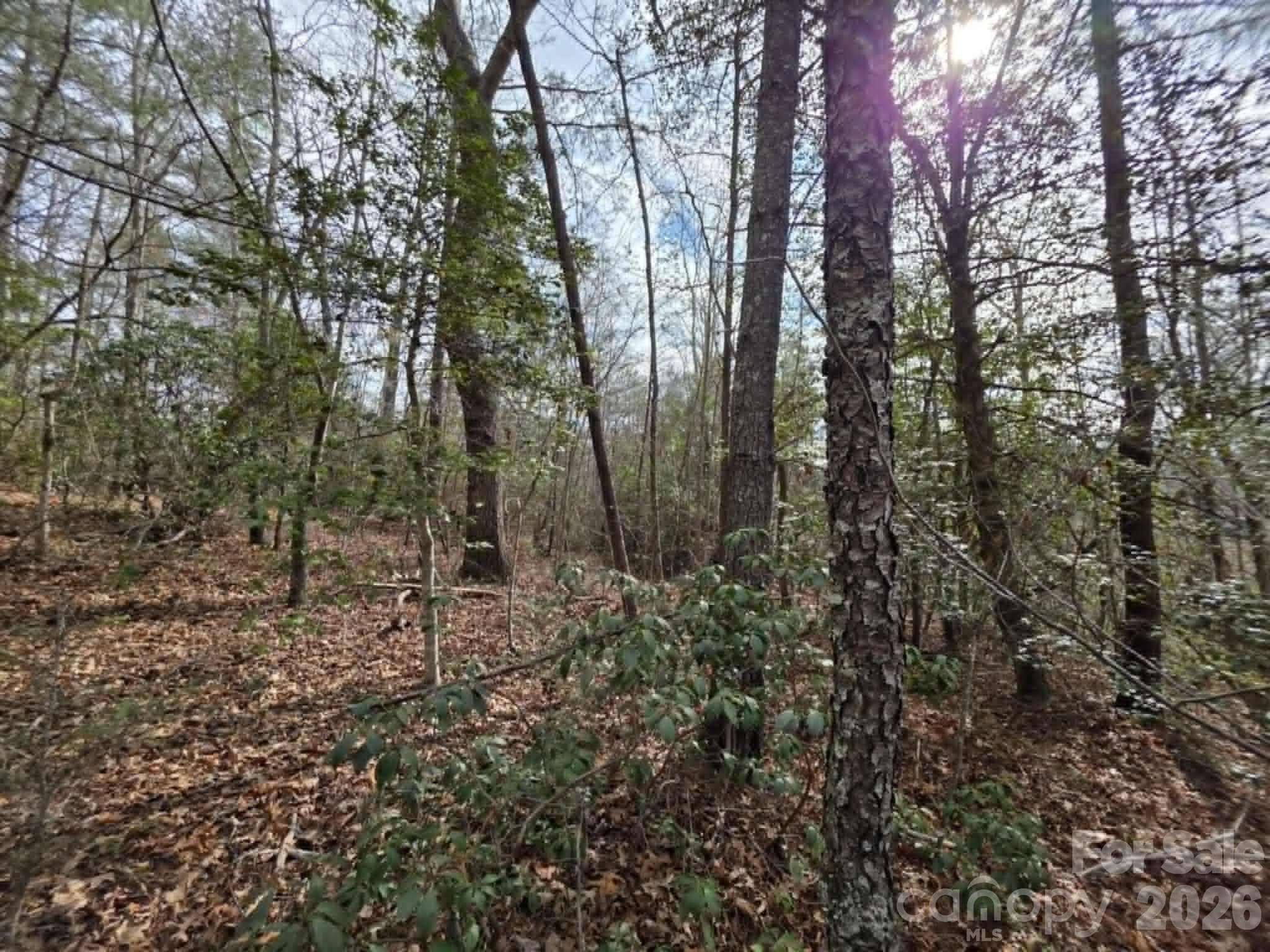 Lot at Lot 1 Kerlee Lane, Old Fort, photo 5 of 7
