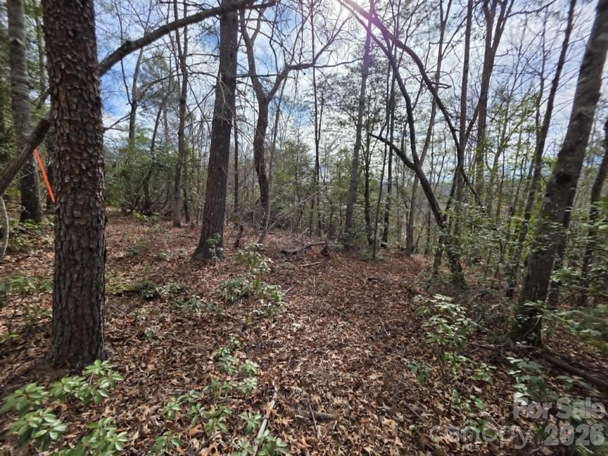 Lot at Lot 1 Kerlee Lane, Old Fort, photo 7 of 7
