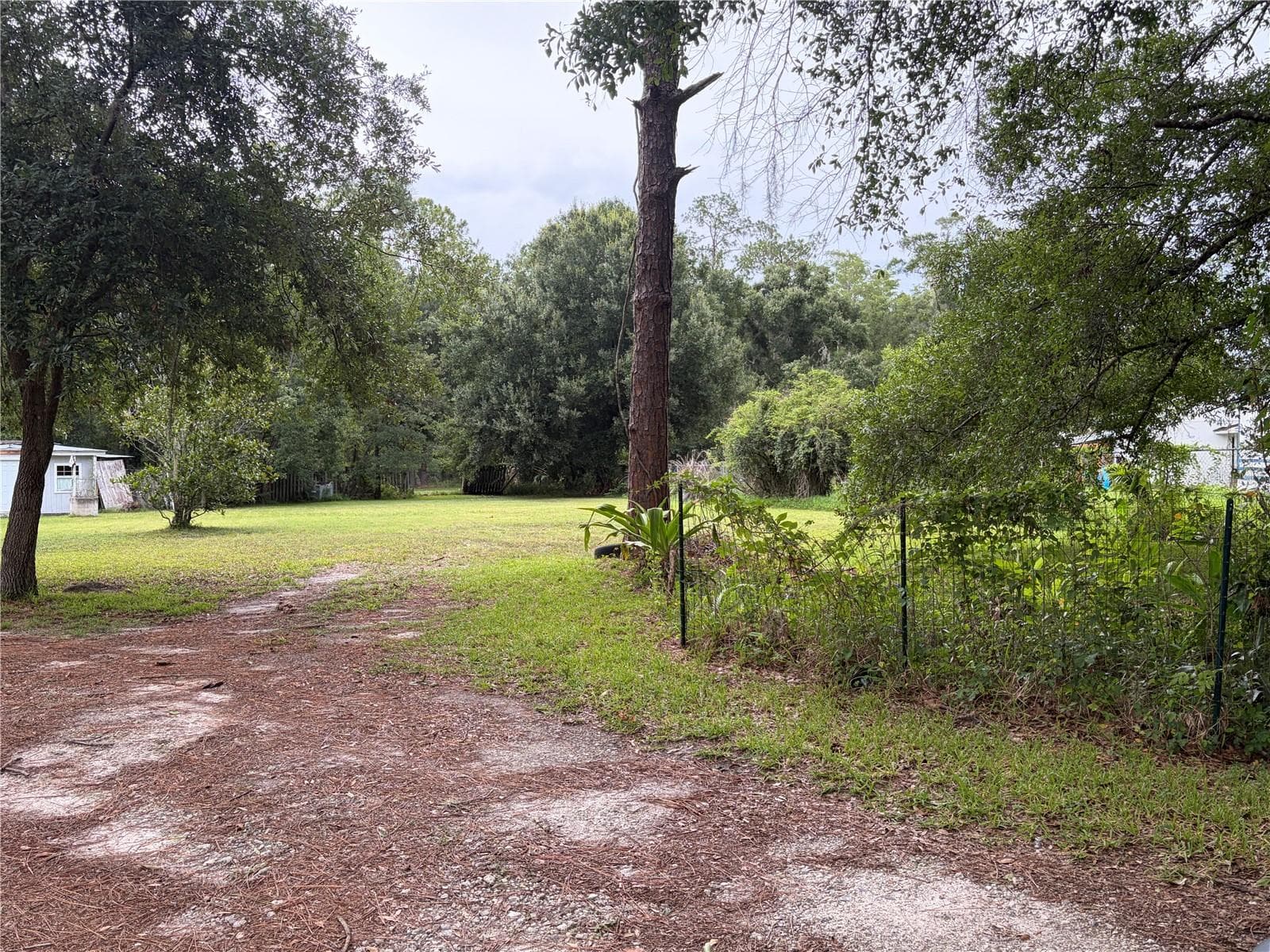 Land at 6900 ANGUS VALLEY DR, WESLEY CHAPEL, photo 2 of 12