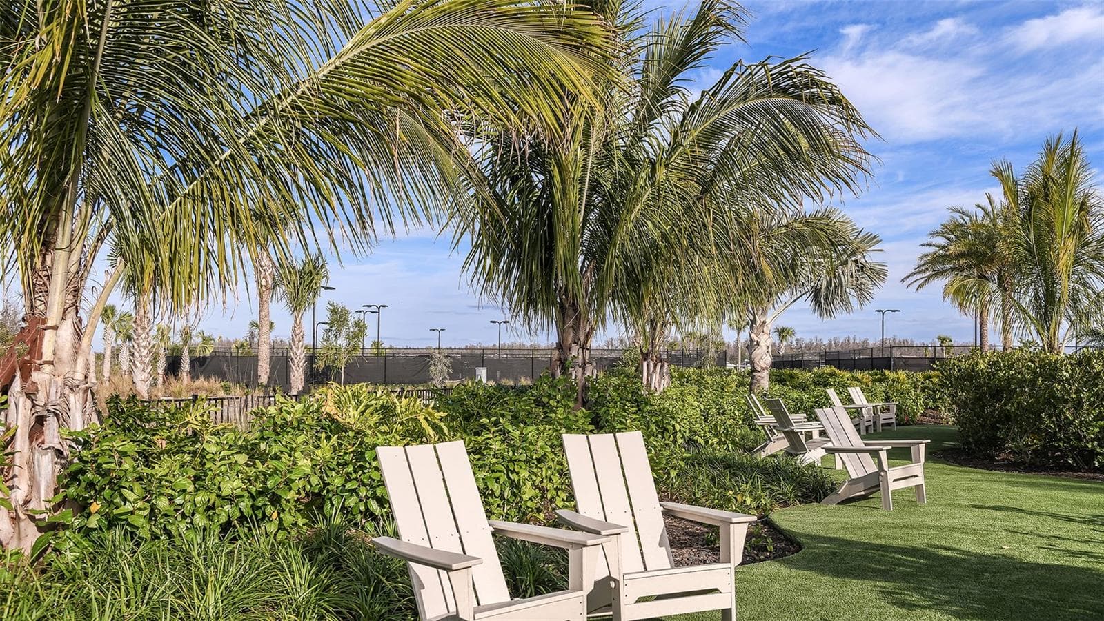 Esplanade at Wiregrass Ranch Community Amenities - 3826 MASANIELLO WAY, WESLEY CHAPEL