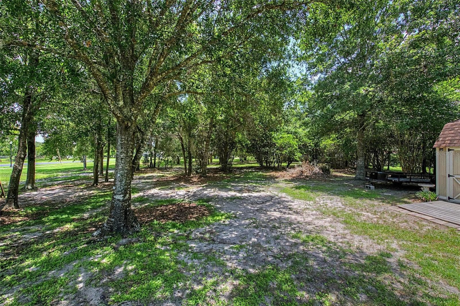 View of the Back Yard - 27928 AUSTIN WOODS DRIVE, DADE CITY