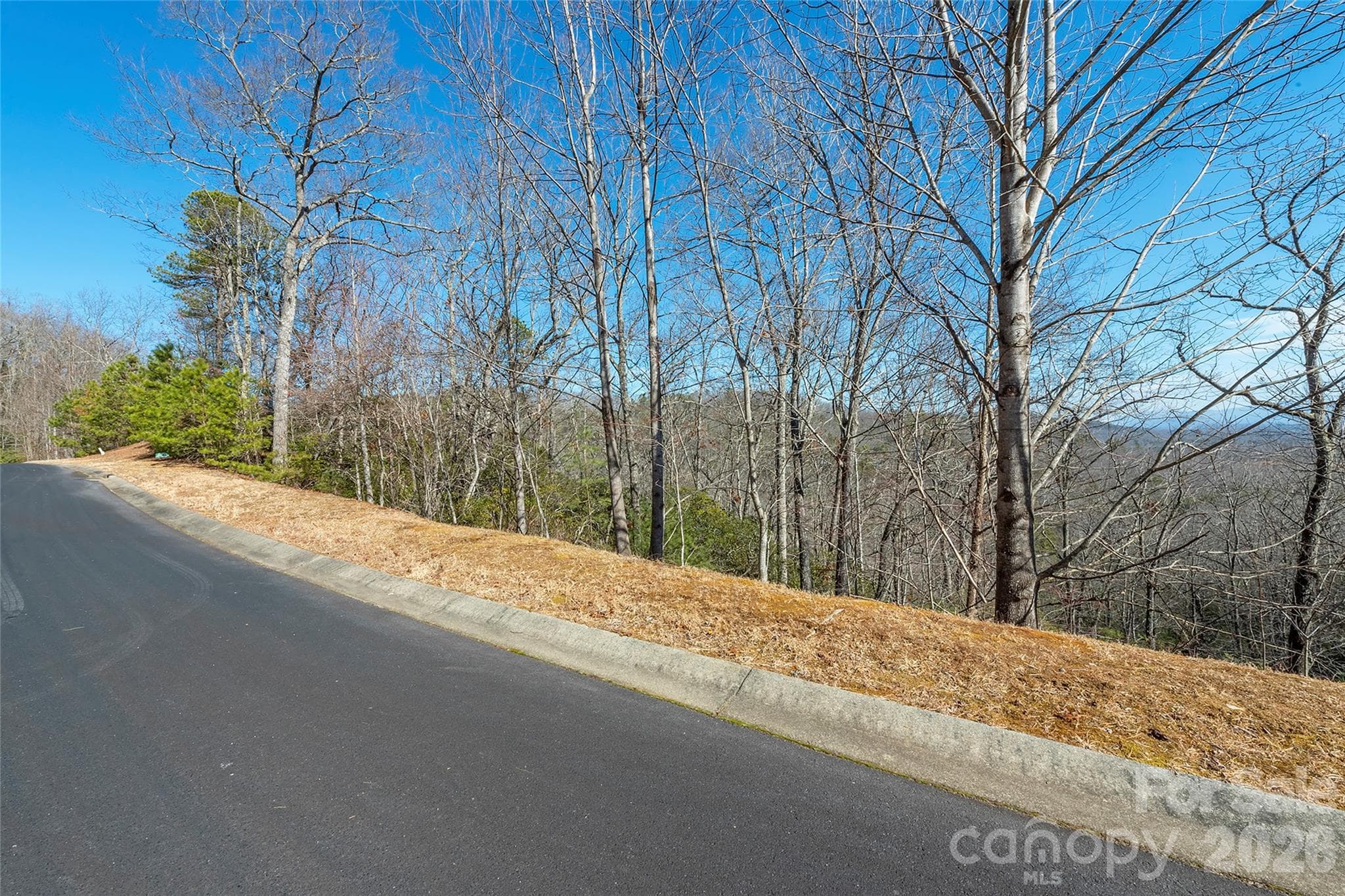 Lot at 99999 Mills River Way, Horse Shoe, photo 3 of 33