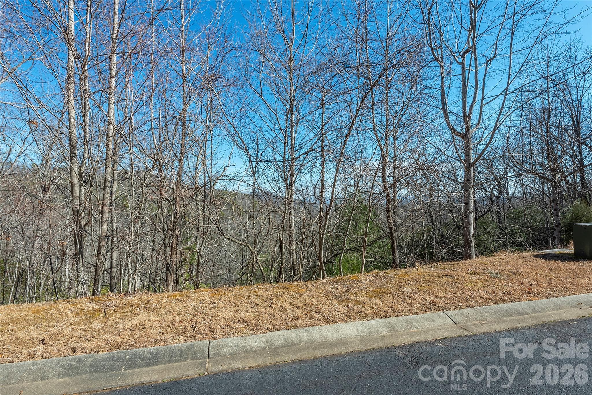 Lot at 99999 Mills River Way, Horse Shoe, photo 6 of 33