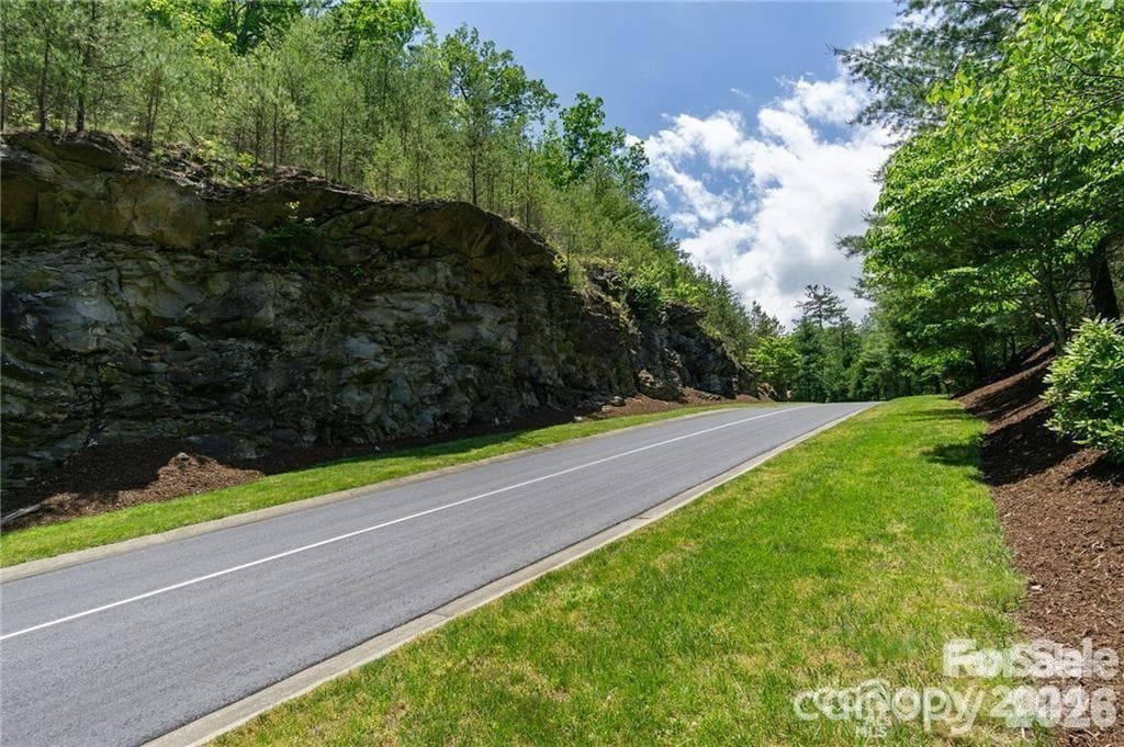 Rock formations throughout the community - 99999 Mills River Way, Horse Shoe