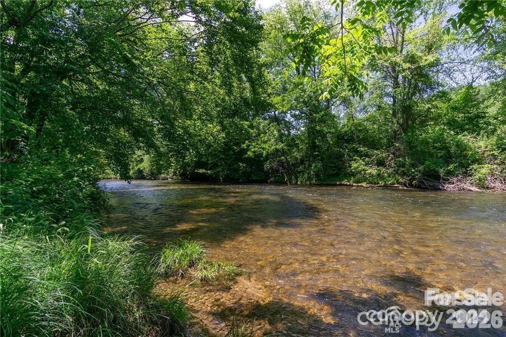 Mills river at the River Reserve - 99999 Mills River Way, Horse Shoe
