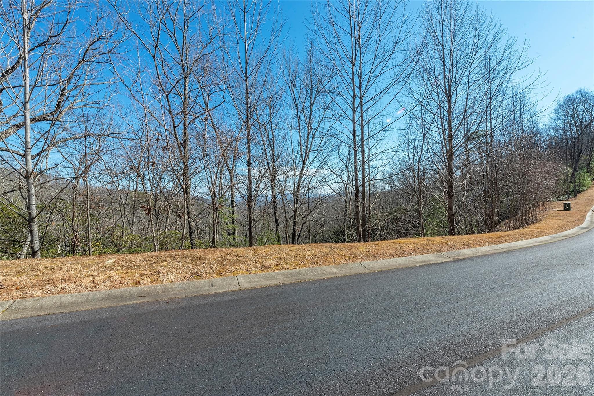 Lot at 99999 Mills River Way, Horse Shoe, photo 13 of 33