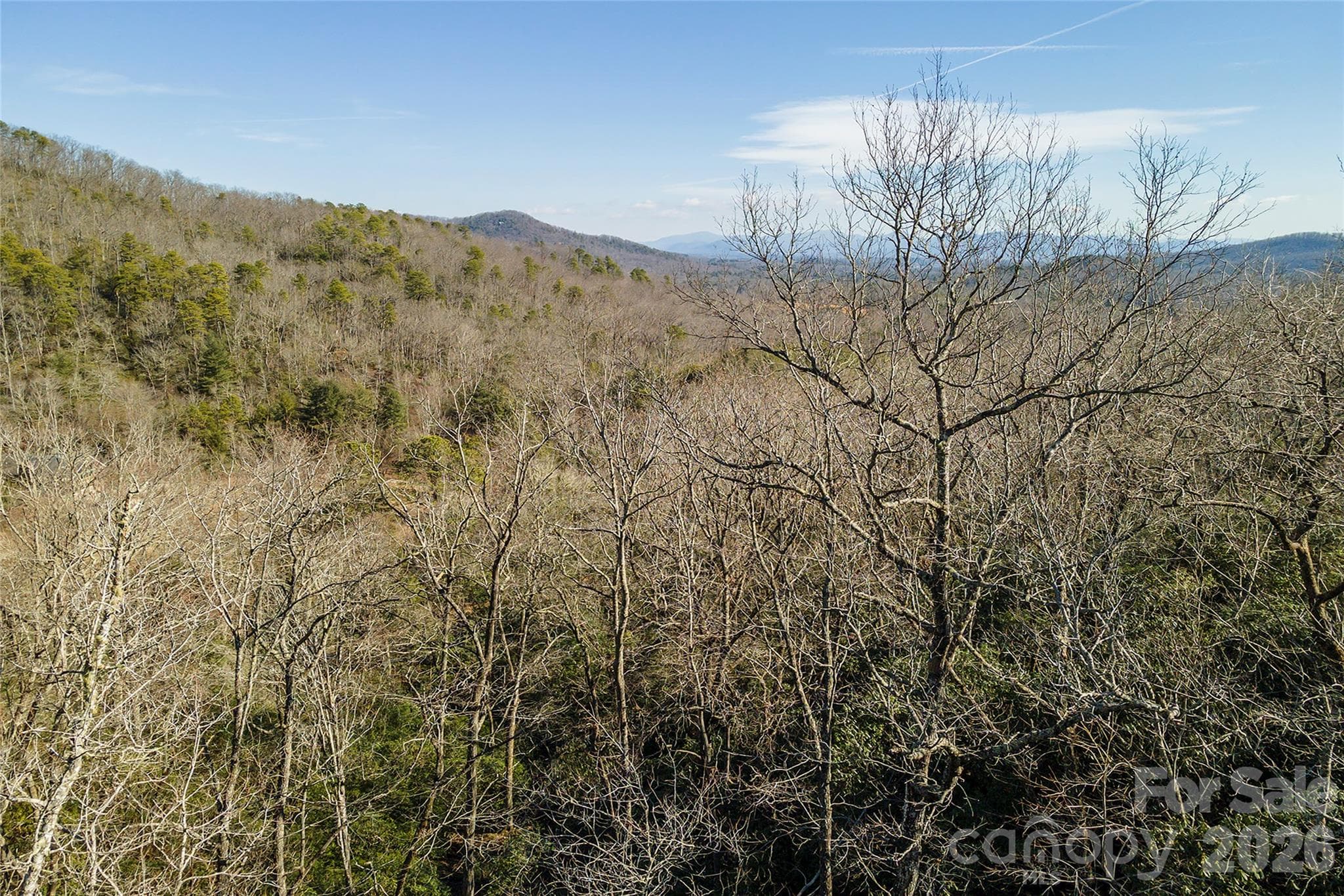 Lot at 99999 Mills River Way, Horse Shoe, photo 27 of 33