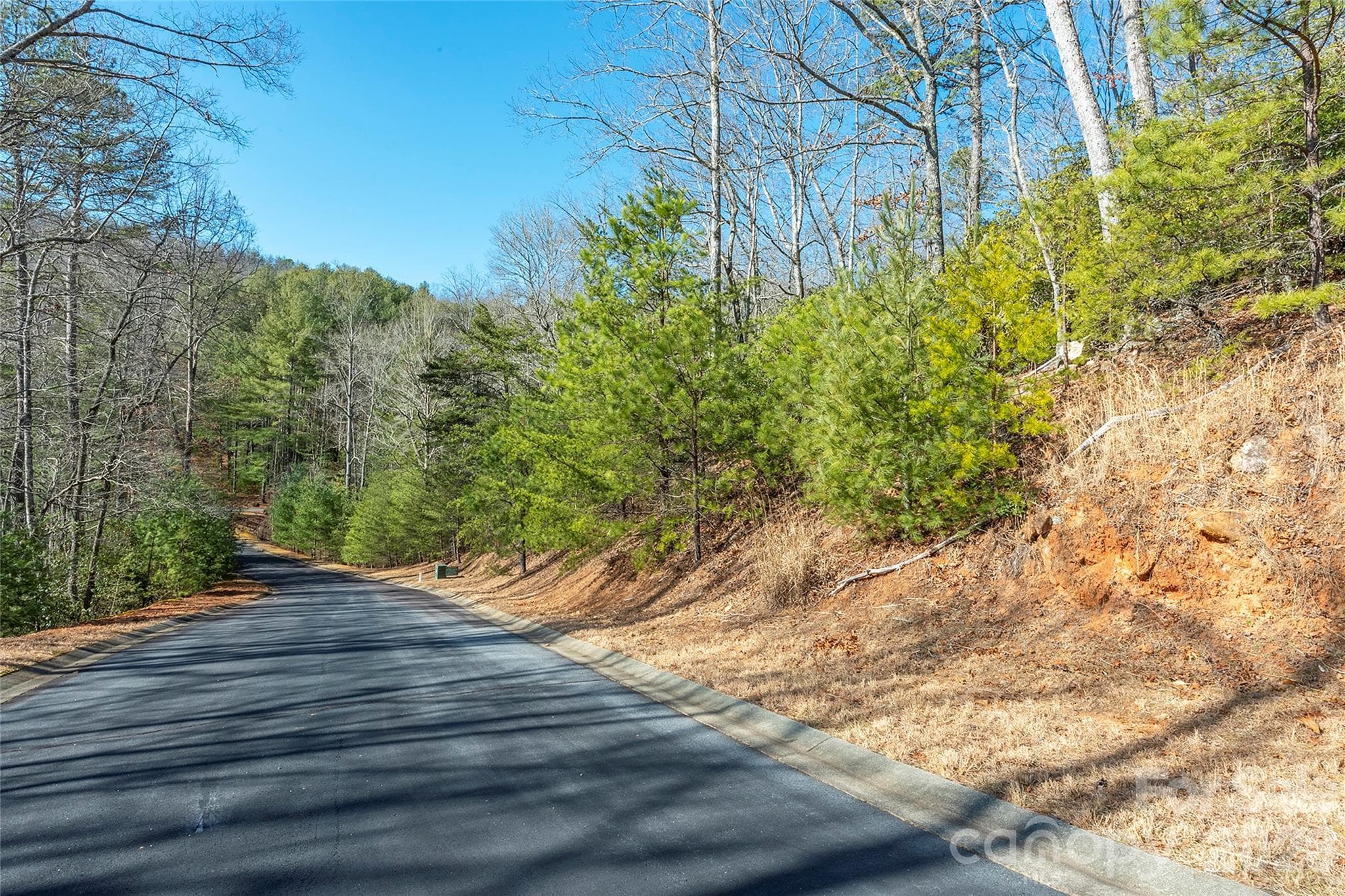 Lot at 99999 Caddis Lane, Horse Shoe, photo 2 of 31