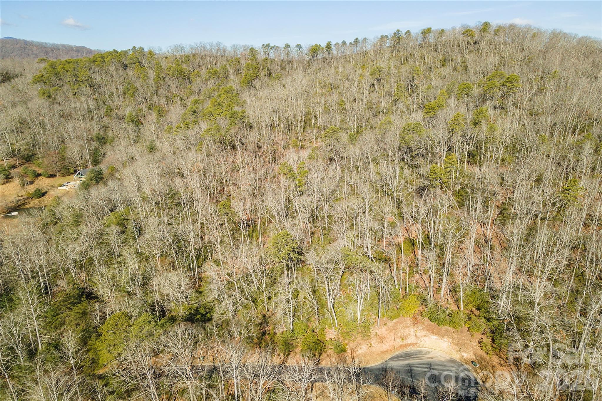 Lot at 99999 Caddis Lane, Horse Shoe, photo 15 of 31