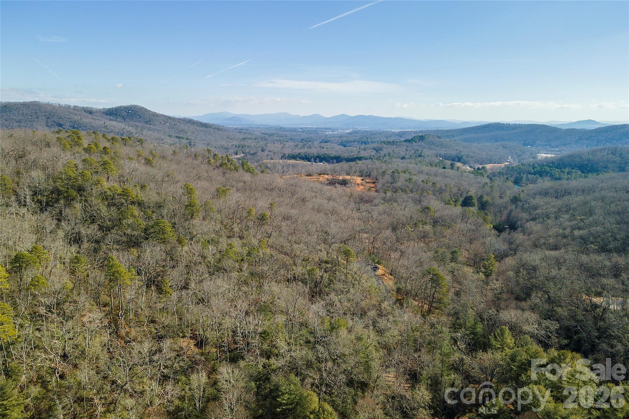 Lot at 99999 Caddis Lane, Horse Shoe, photo 20 of 31