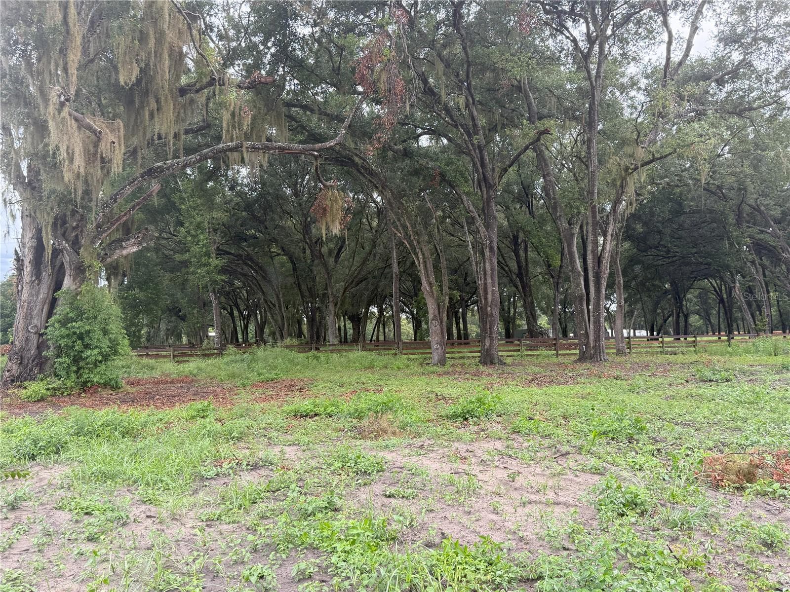 Land at 890 GRAND RONDO W, CRESCENT CITY, photo 7 of 26