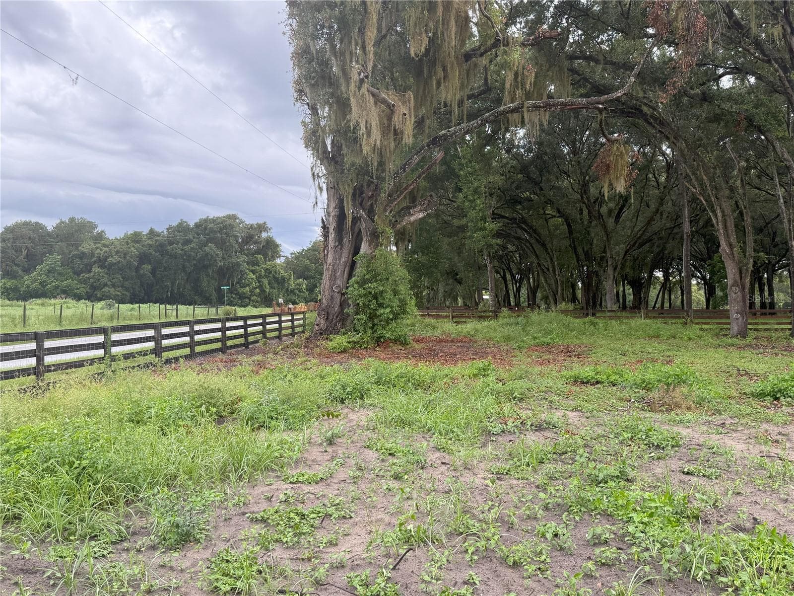 Land at 890 GRAND RONDO W, CRESCENT CITY, photo 8 of 26