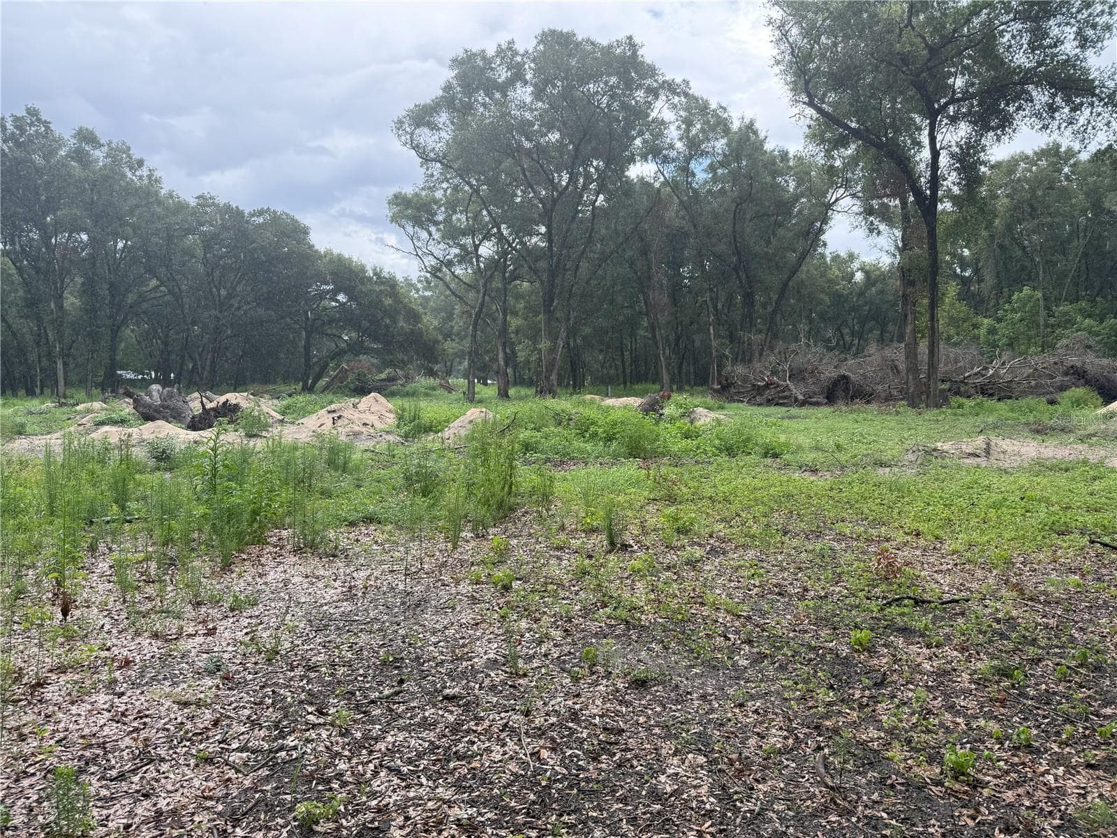 Land at 890 GRAND RONDO W, CRESCENT CITY, photo 11 of 26