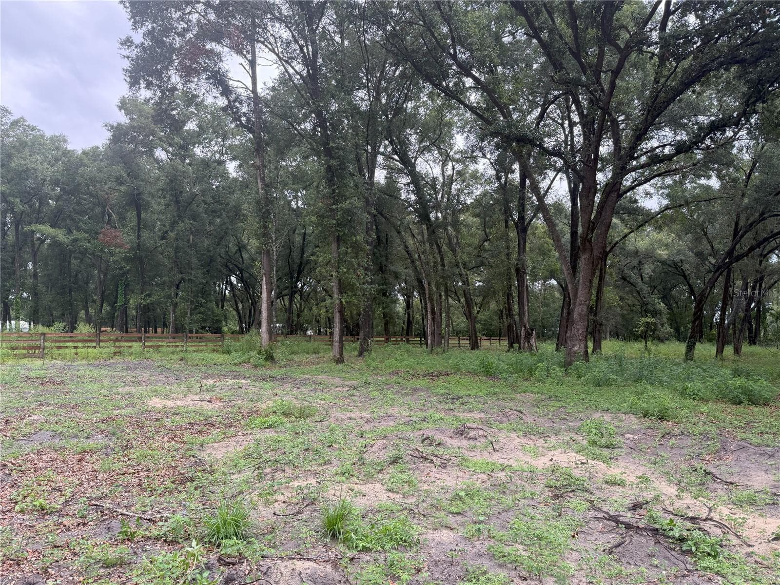 Land at 890 GRAND RONDO W, CRESCENT CITY, photo 12 of 26