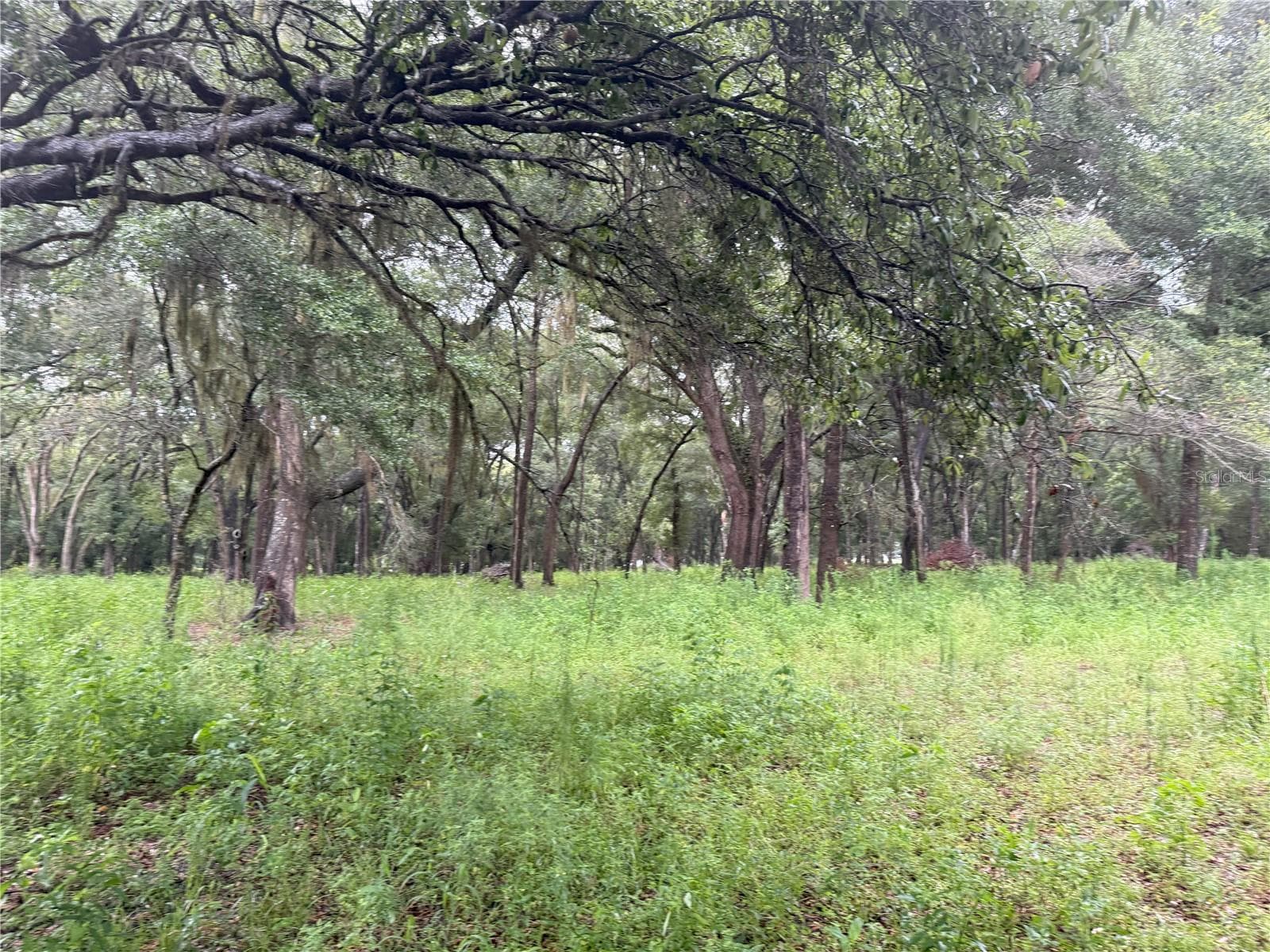 Land at 890 GRAND RONDO W, CRESCENT CITY, photo 14 of 26