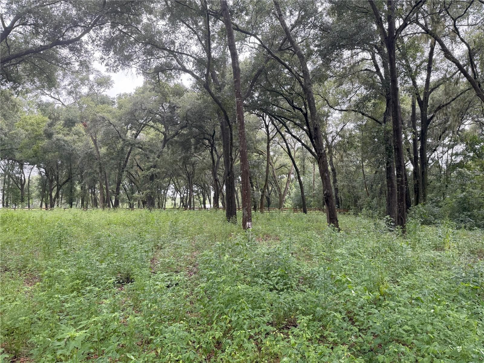 Land at 890 GRAND RONDO W, CRESCENT CITY, photo 15 of 26